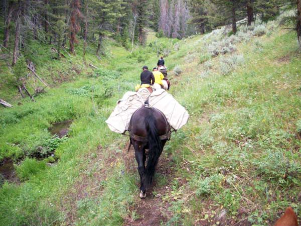 Idaho Pack Trips, Packing In