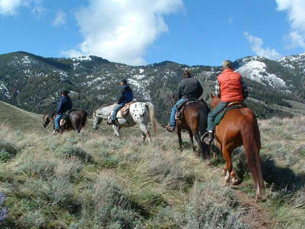 Horseback Day Riding Idaho